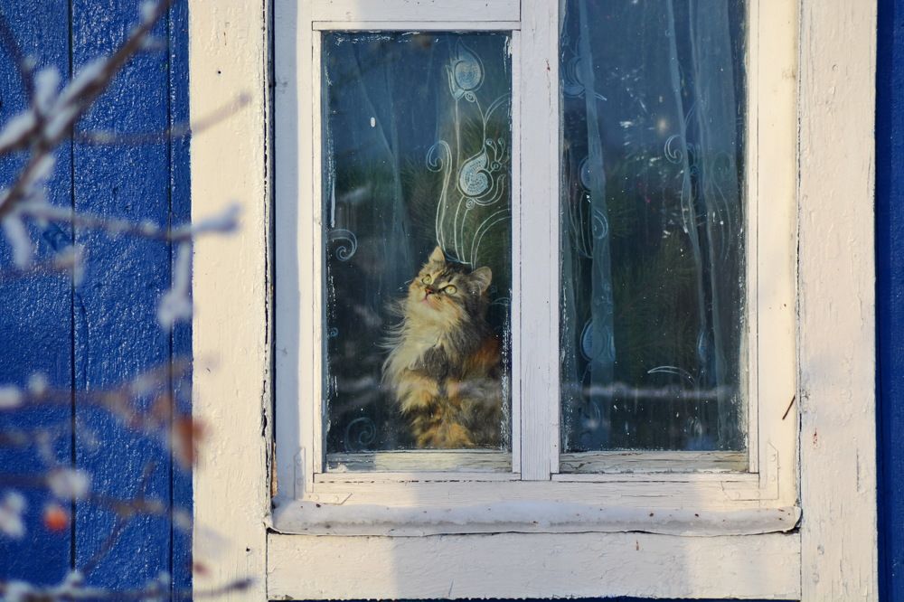 Photograph by Andrey