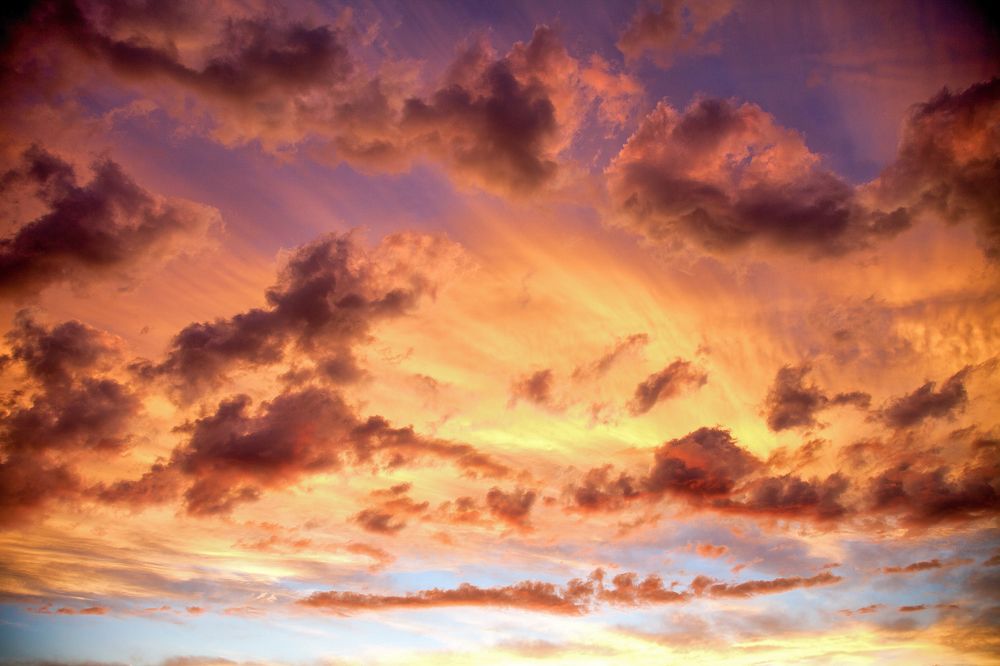 Photograph by Tetiana