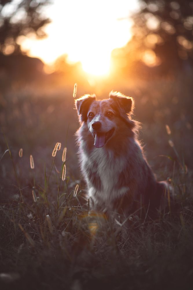 Photograph by Stefania Perrucci