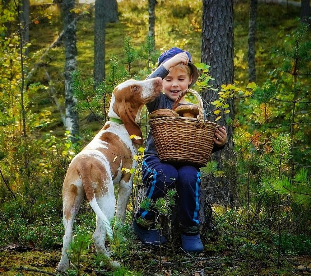 Photograph by Марина Безенкина