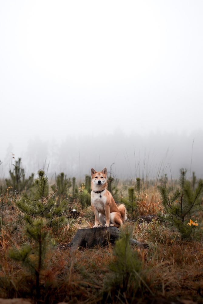 Photograph by Tata Glazkova