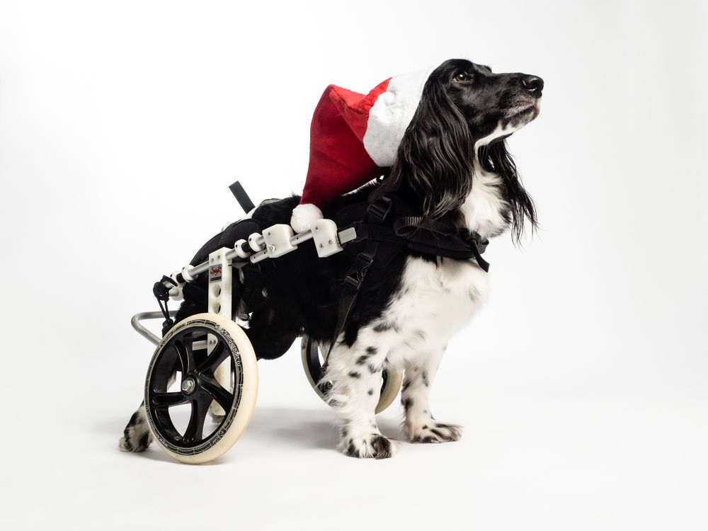 Photograph by Дарья Быстрицкая