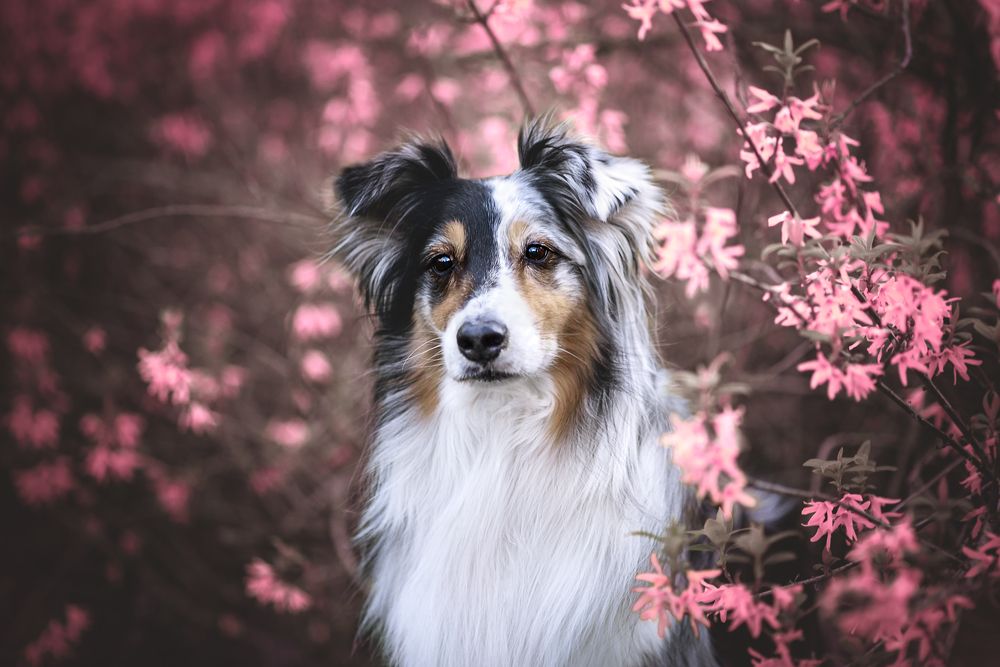 Photograph by Stefania Perrucci