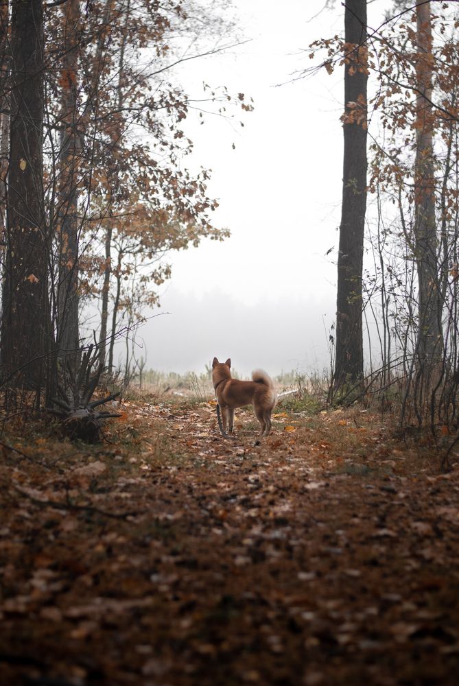 Photograph by Tata Glazkova