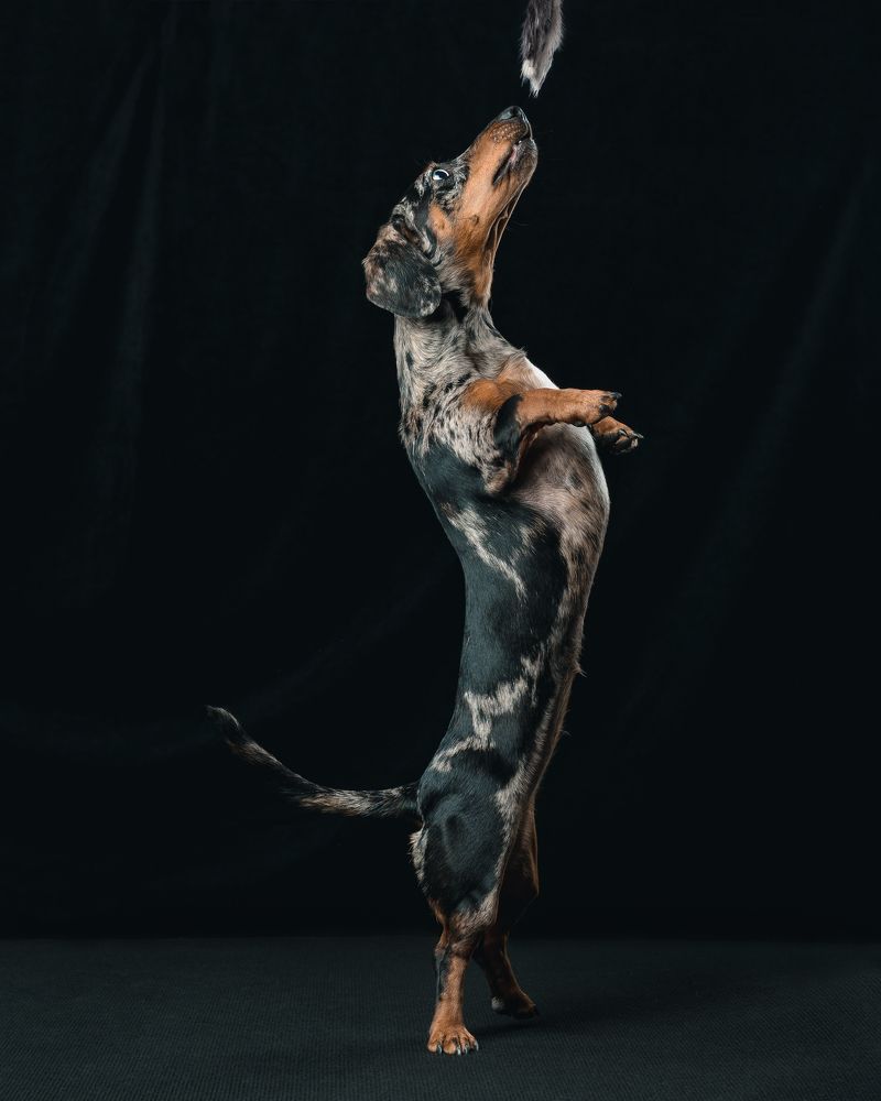 Photograph by Дарья Быстрицкая