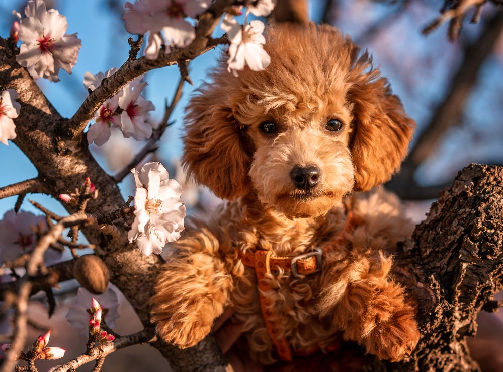 Photograph by Анастасия Погодина