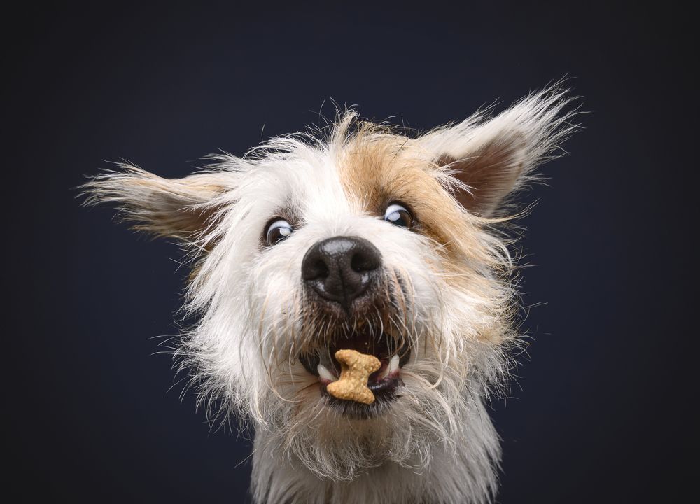 Photograph by Daniel Baksza