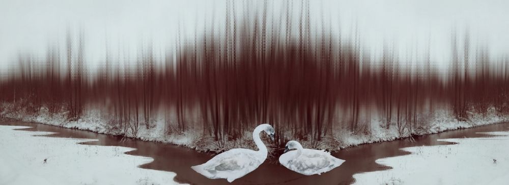 Photograph by Pati John