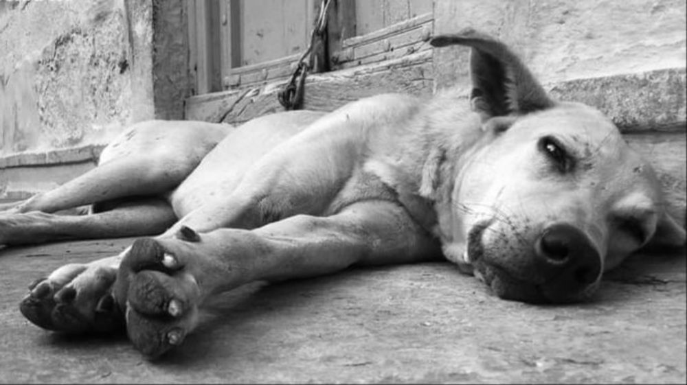 Photograph by Anubhav Saxena