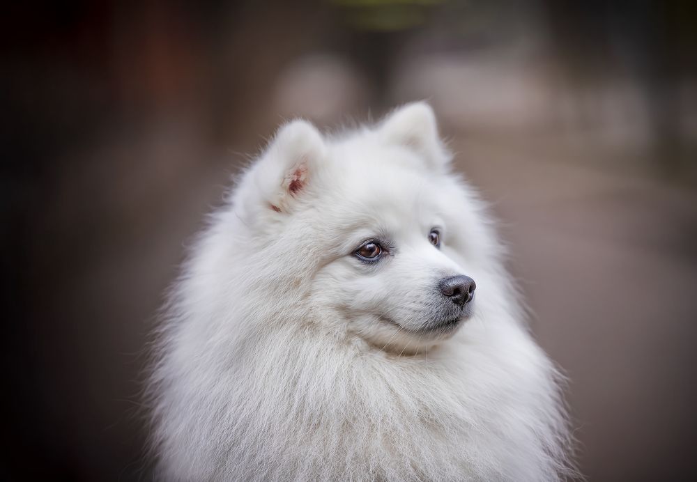 Photograph by Анна Григорьева