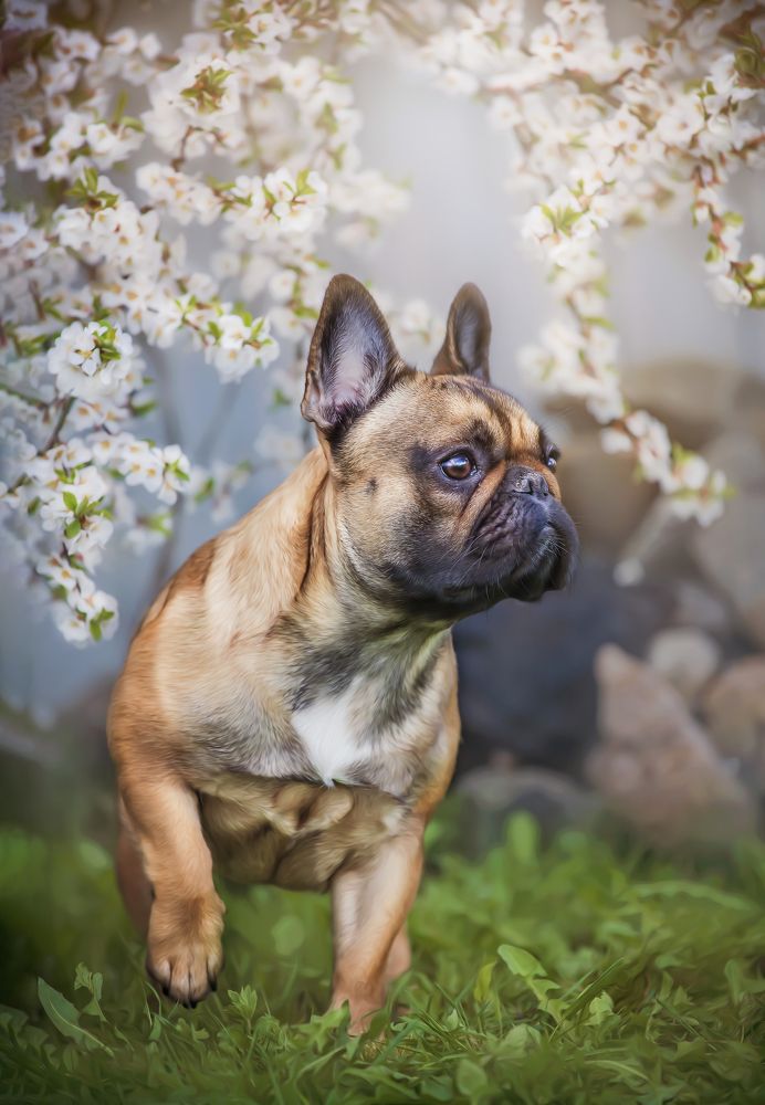 Photograph by Анна Григорьева