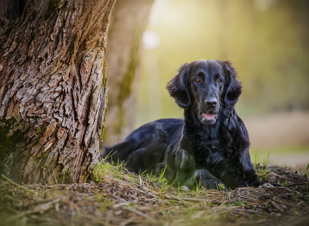 Photograph by Анна Григорьева