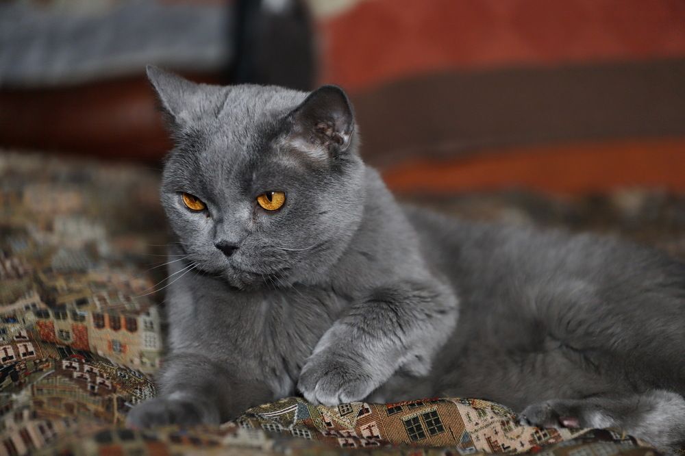 Photograph by Константин Лагоденко