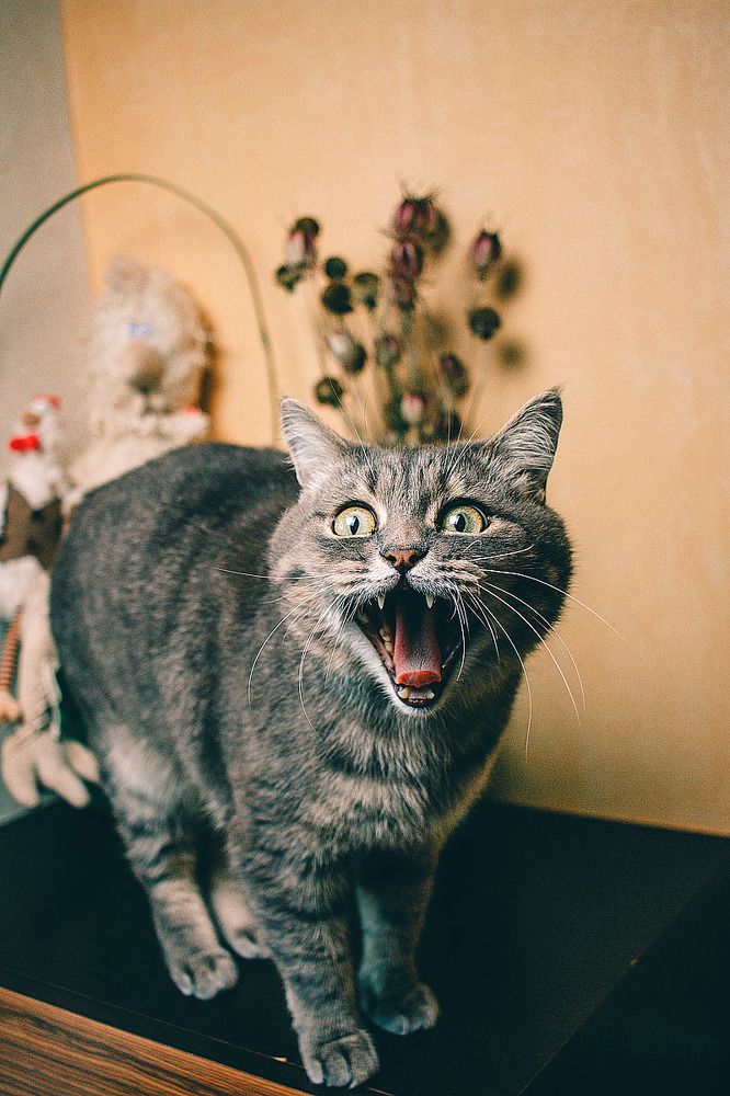 Photograph by Горин Стас