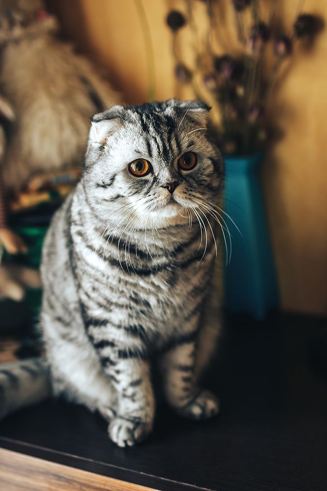 Photograph by Горин Стас