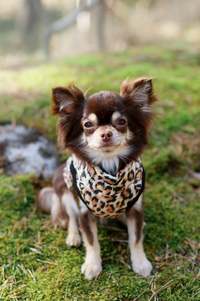 Photograph by Maarjana Bartow