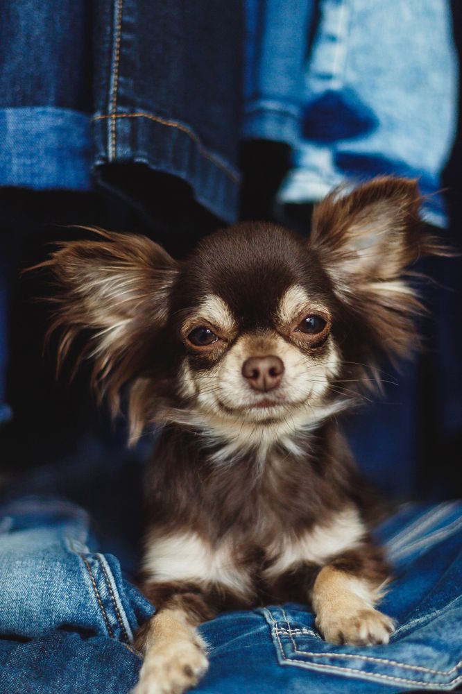 Photograph by Maarjana Bartow