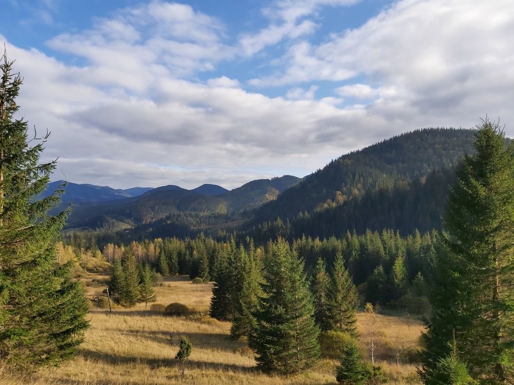 Photograph by Олександр Опанасюк