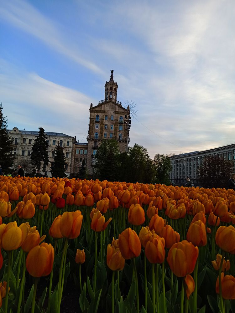 Photograph by Наталия Бровкина
