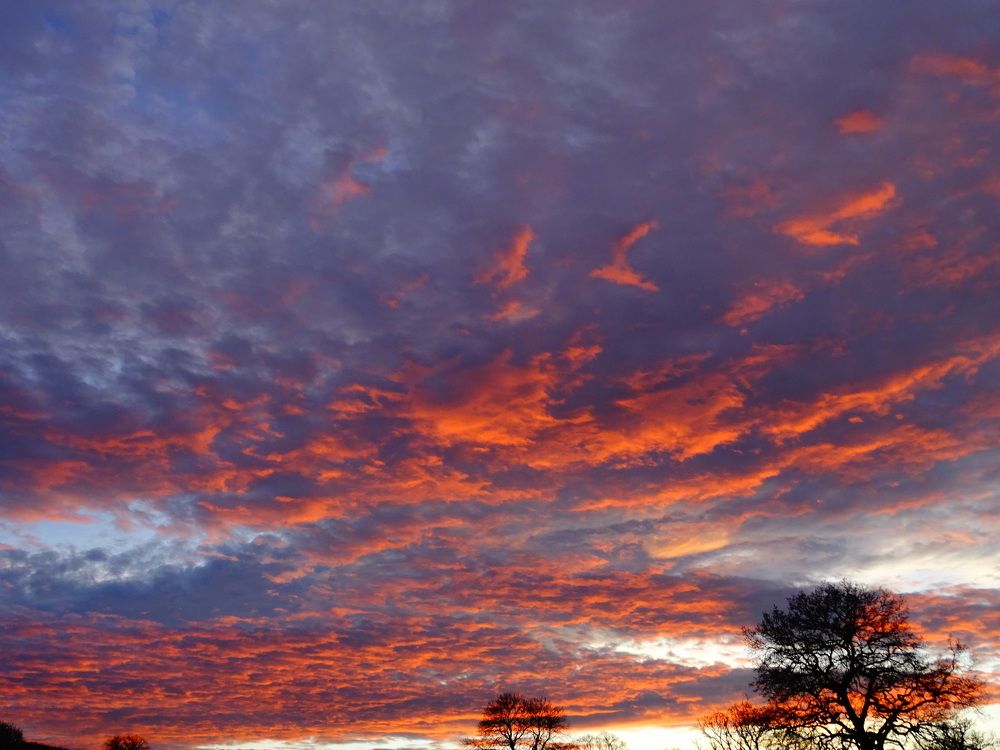 Photograph by Олександр Опанасюк