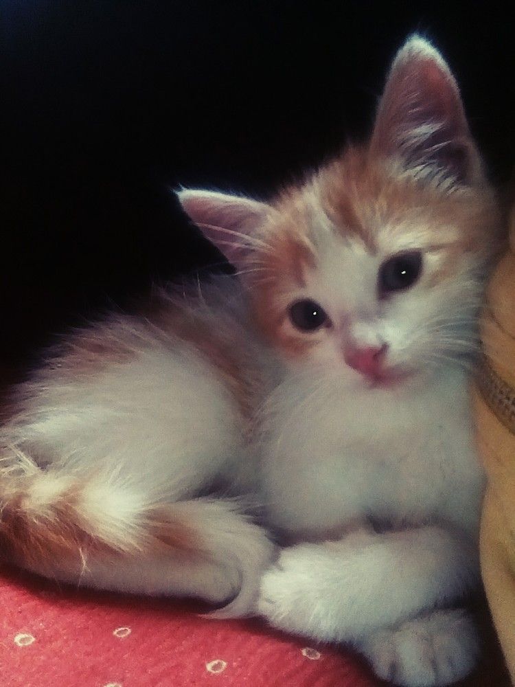 Photograph by María Madrid