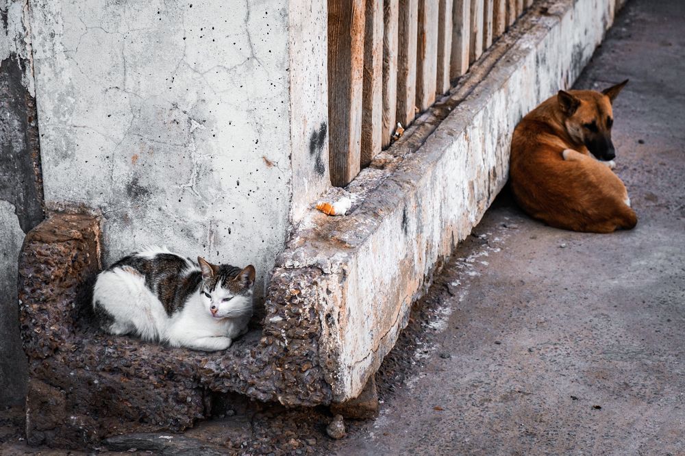 Photograph by akram menari