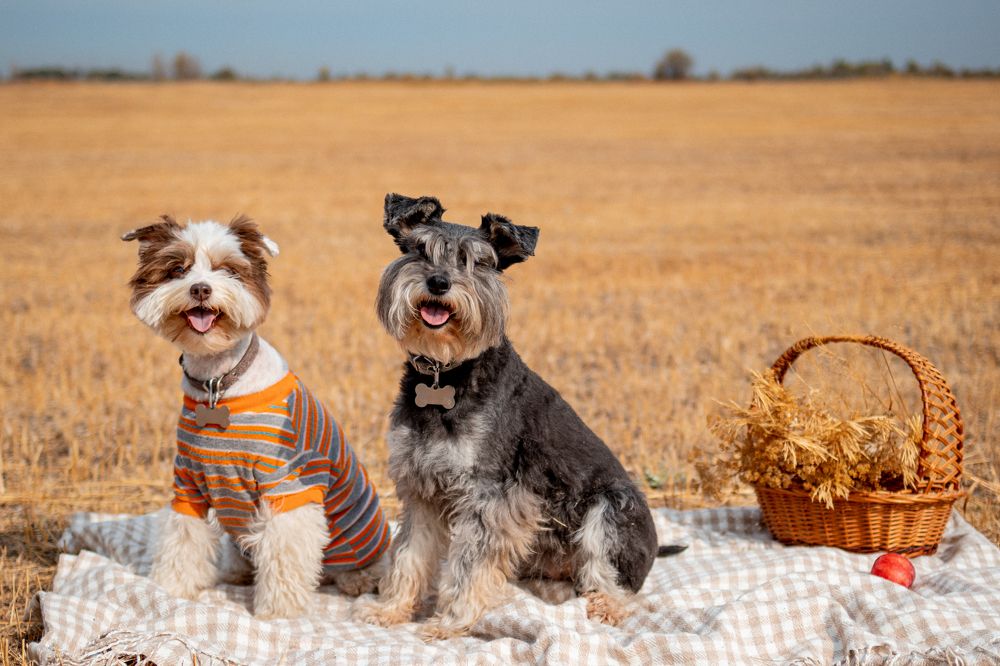 Photograph by Эльвира Грызлова