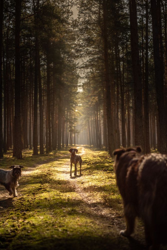 Photograph by Yuliya Belyanina