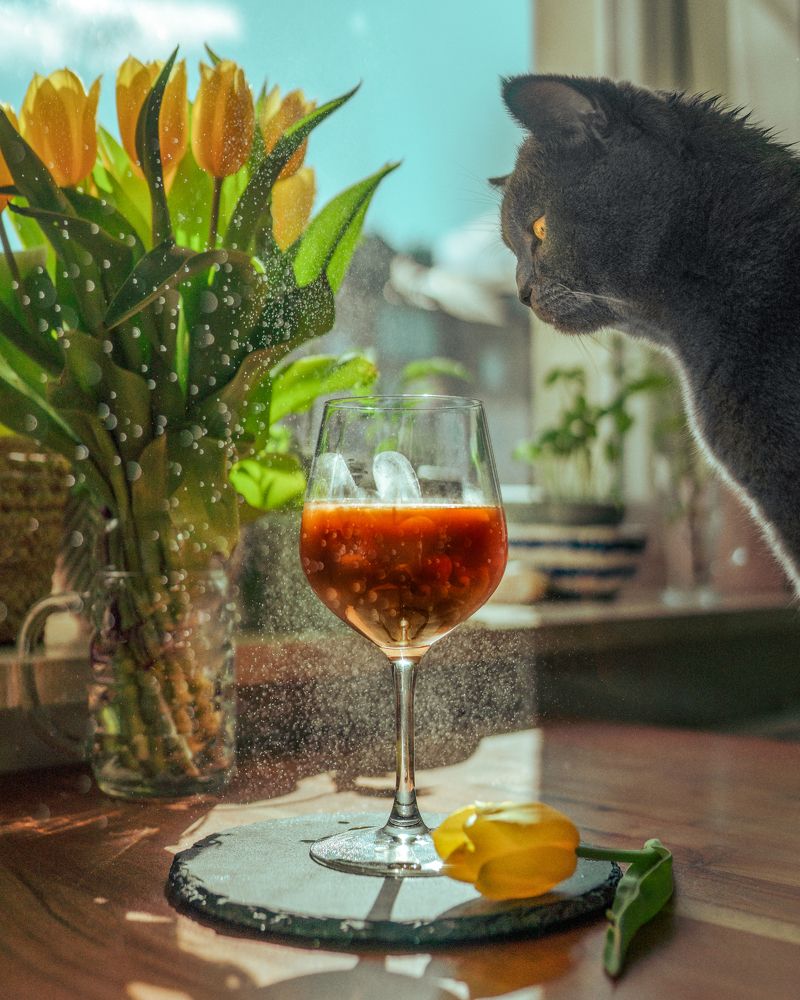 Photograph by Yuliya Belyanina