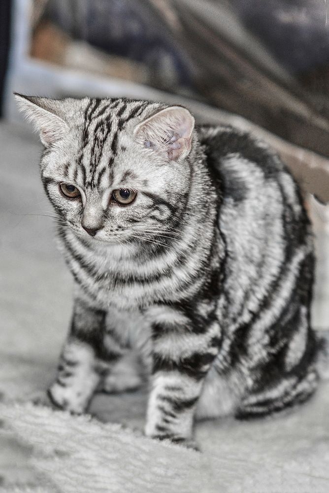 Photograph by Юрий Назыров