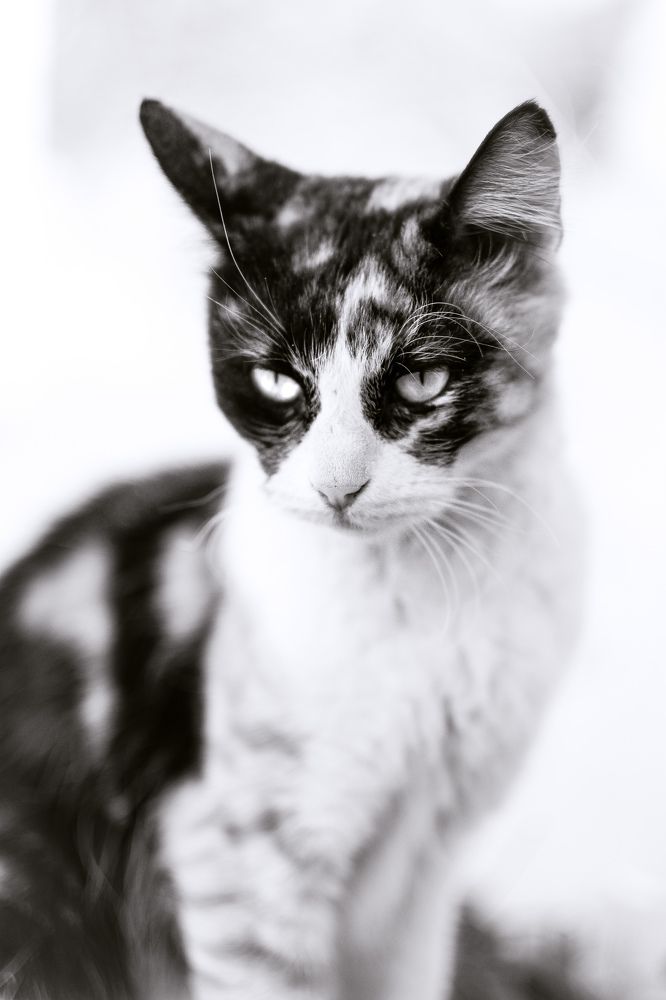 Photograph by akram menari