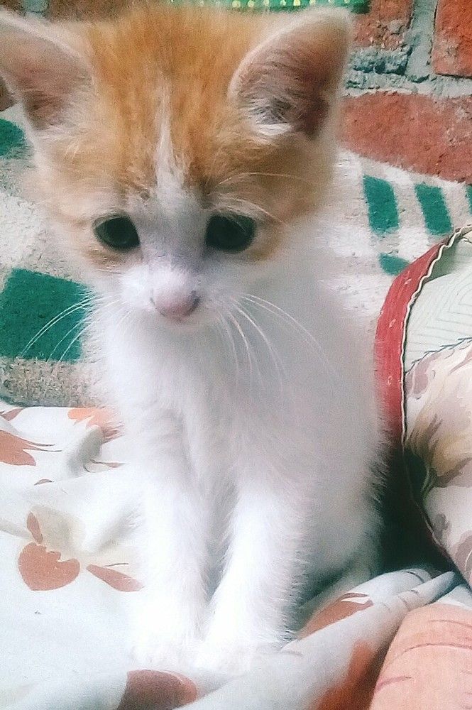 Photograph by María Madrid