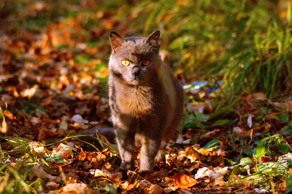 Photograph by Andrey