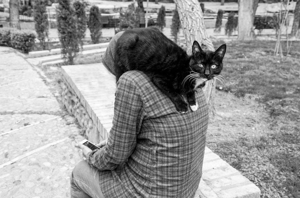 Photograph by Atefeh Karimzadeh