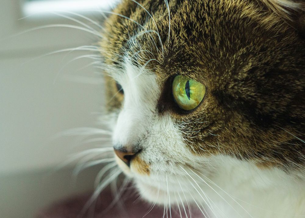 Фотография автора Анна Кравченко