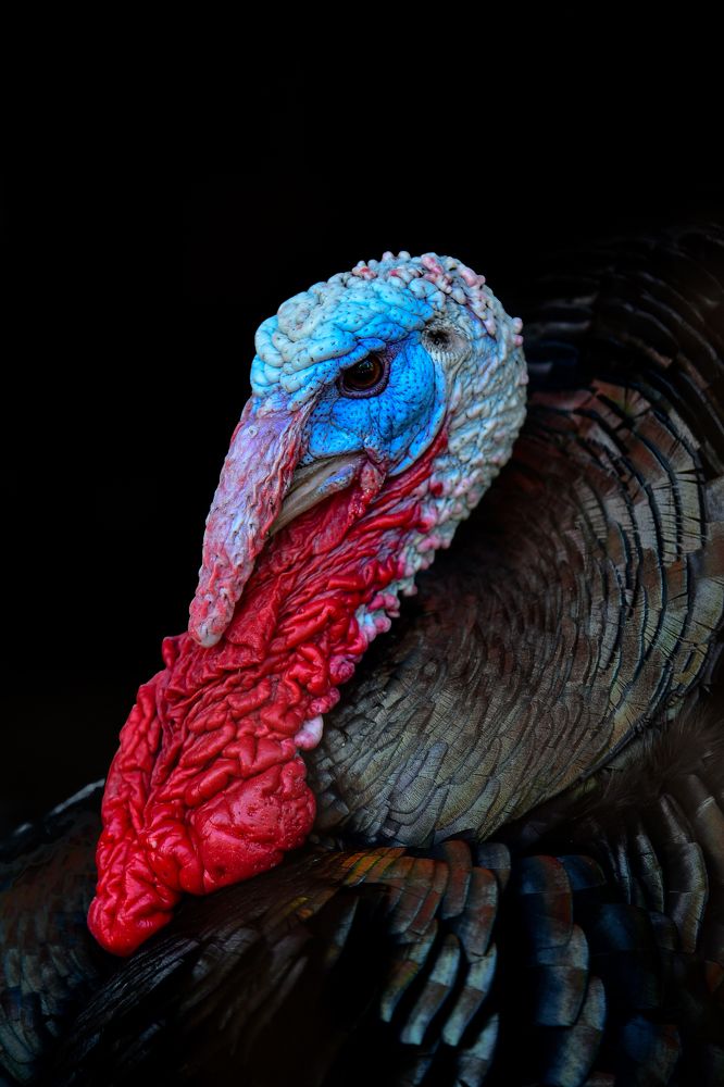 Photograph by Наталья Темная