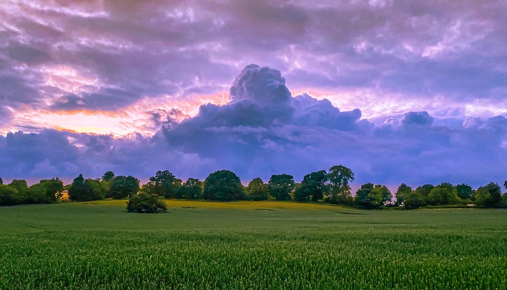 Photograph by LYUDMYLA POKRYSHEN