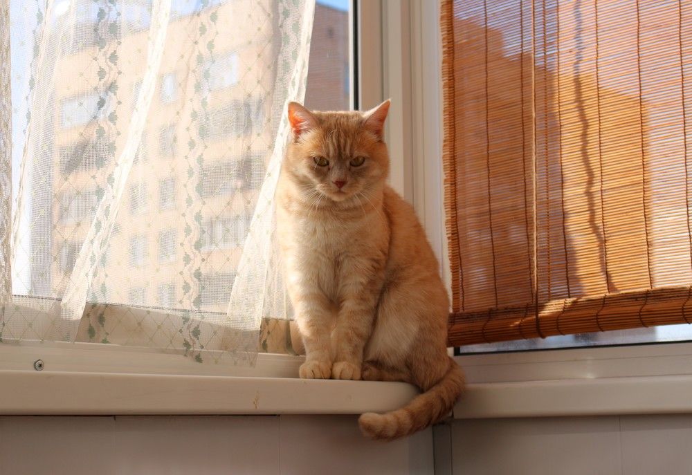 Photograph by Полина Белокопытова