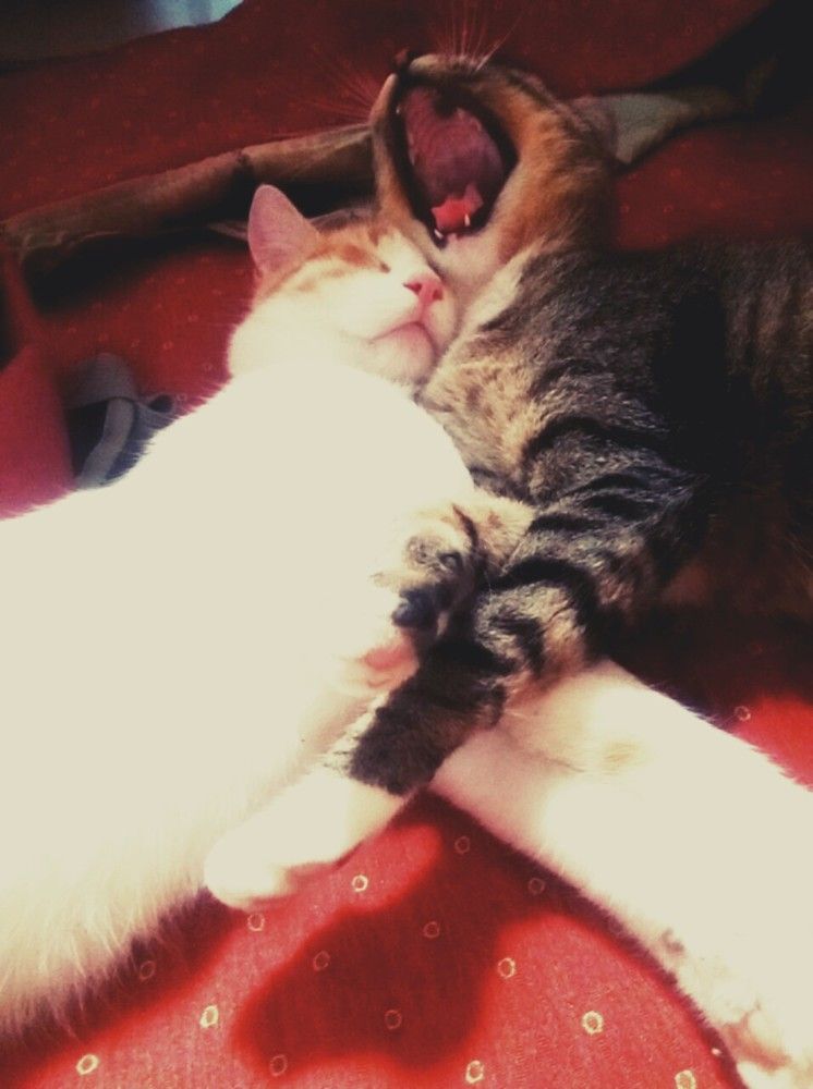 Photograph by María Madrid