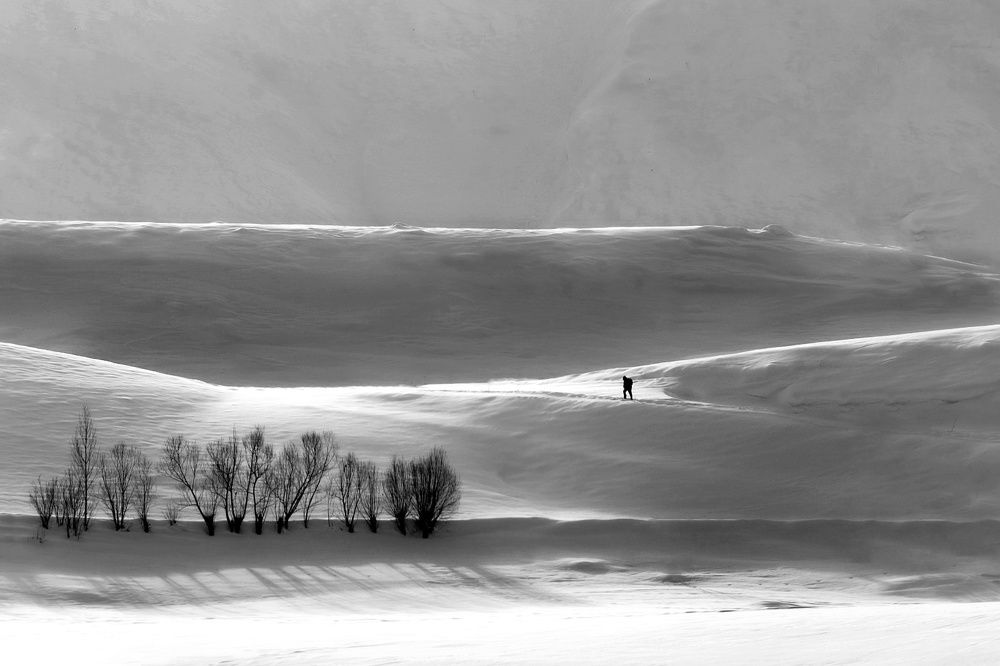 back home in the snow