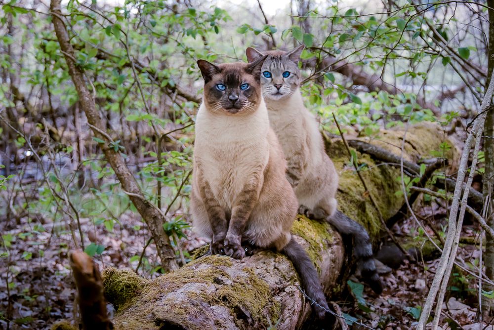 Photograph by LYUDMYLA POKRYSHEN