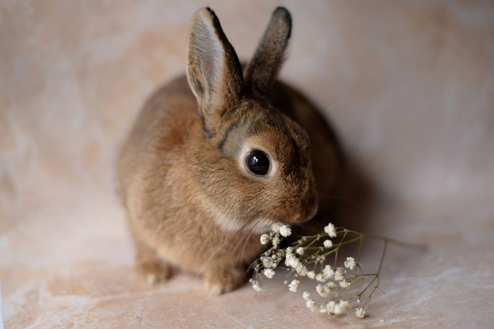 Photograph by Любовь Бузыкина