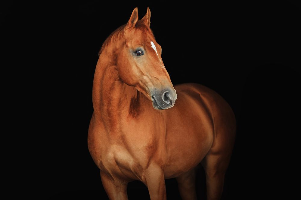 Photograph by Дарья Ералева