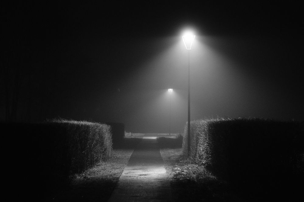 Photograph by Денис Алексеев