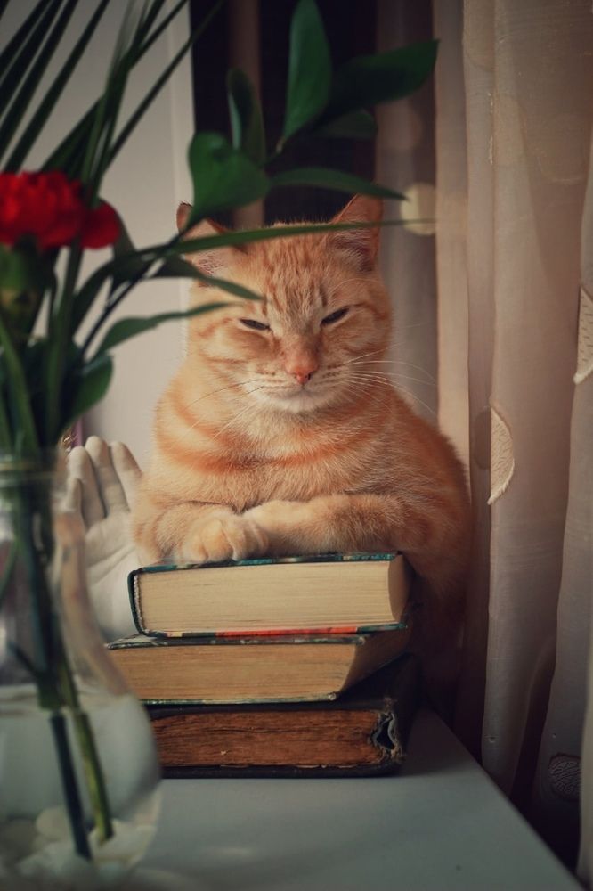 Photograph by Евгения Даниленко