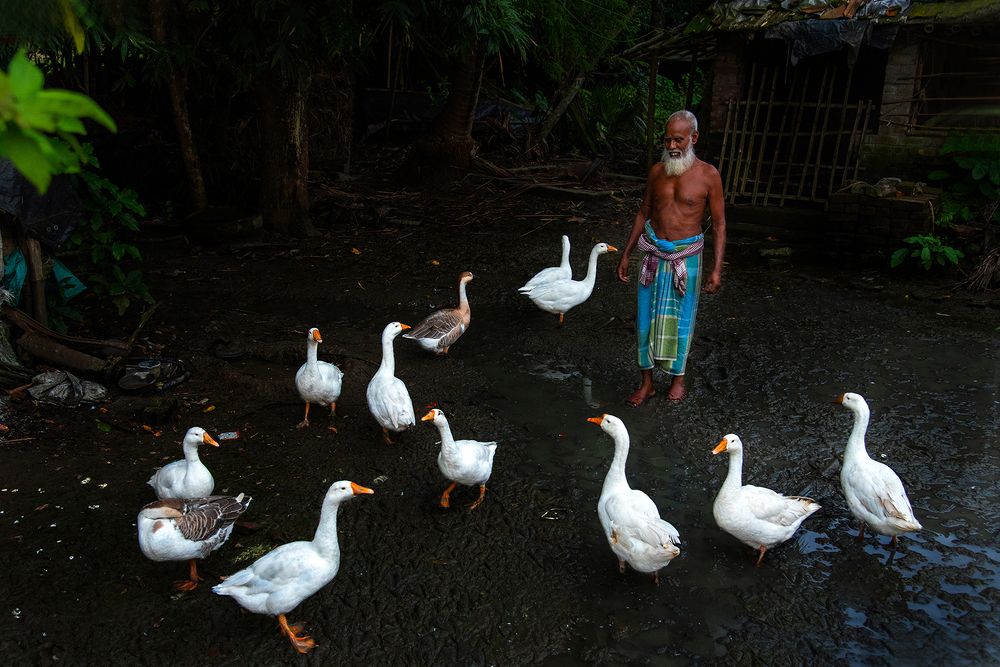 The Last Mate of Life