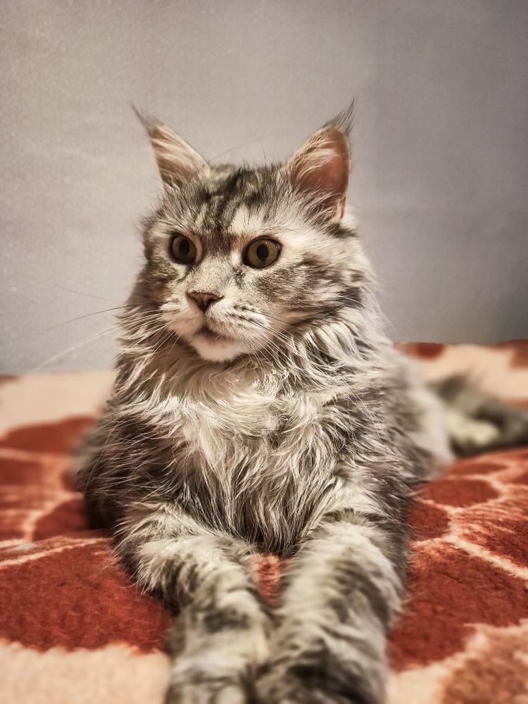 Photograph by Полина Белокопытова