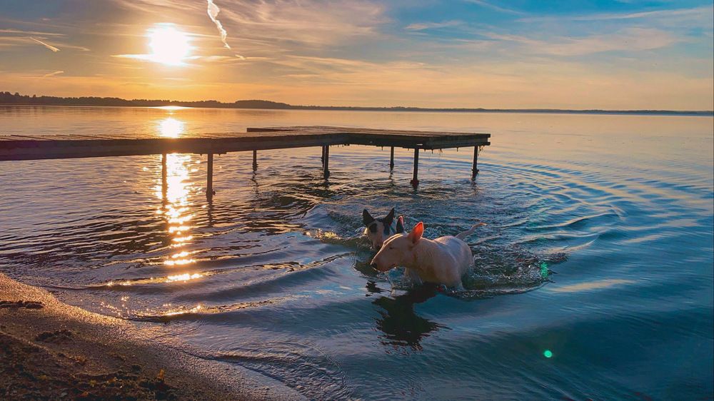 Photograph by Анна Григорьева