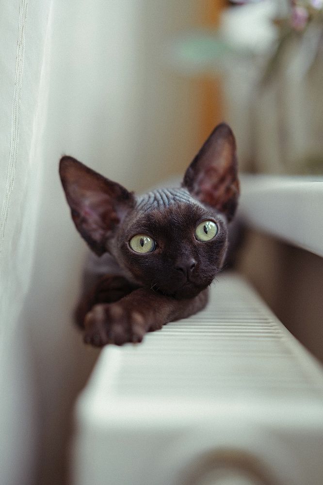 Photograph by Diana Sklarova