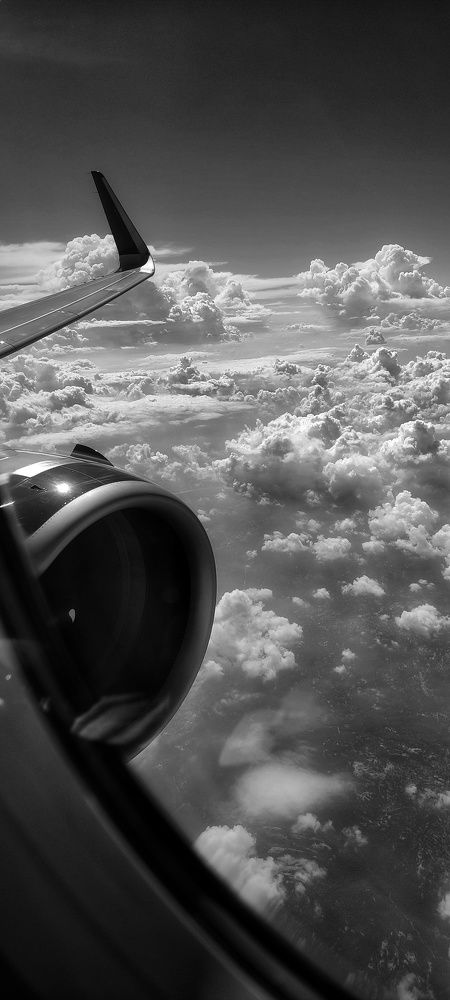 Photo #6070810